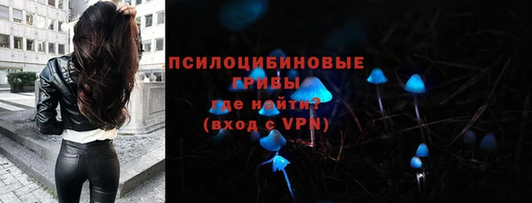 сатива Баксан