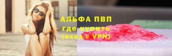 сатива Баксан