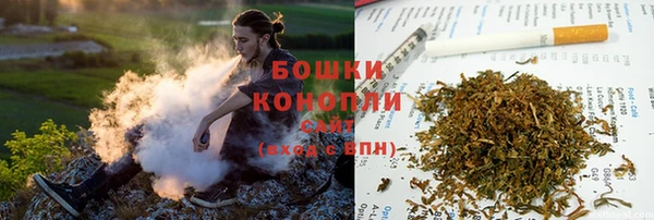 сатива Баксан